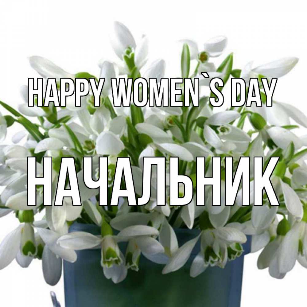Greetings card с именем, Начальник happy women`s day цветы к международному женскому дню Greetings with text for free download 